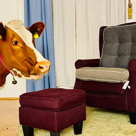 Vibrant Center Budapeszt